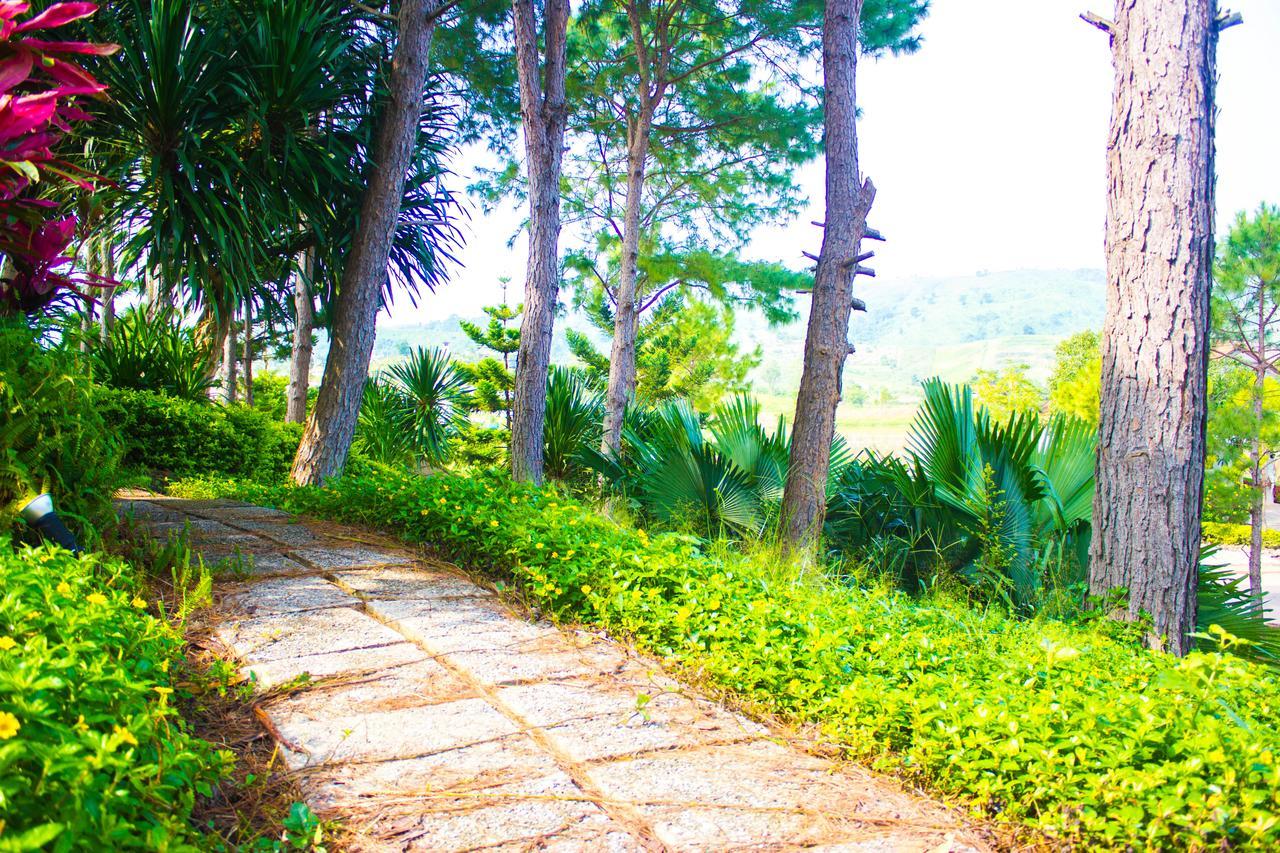 Bird Land Resort 考科 外观 照片