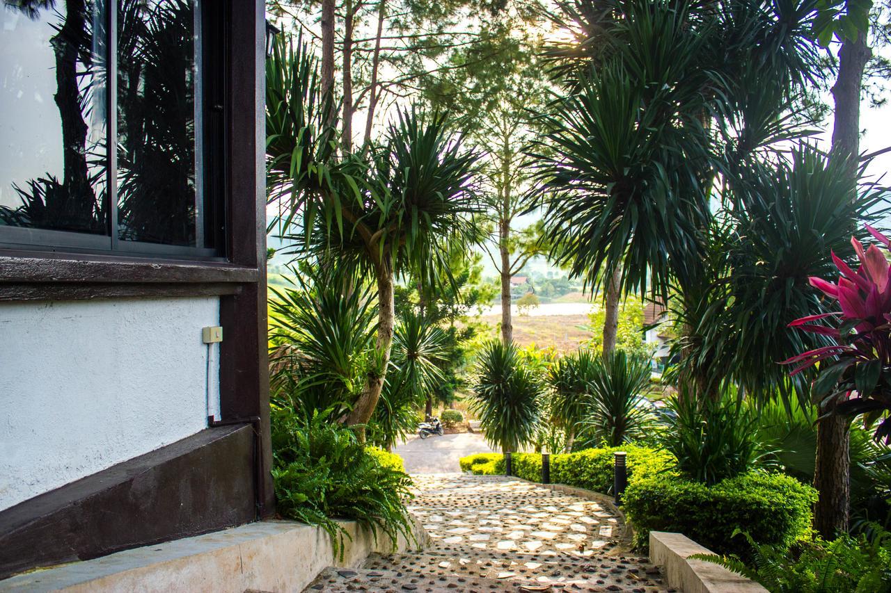Bird Land Resort 考科 外观 照片
