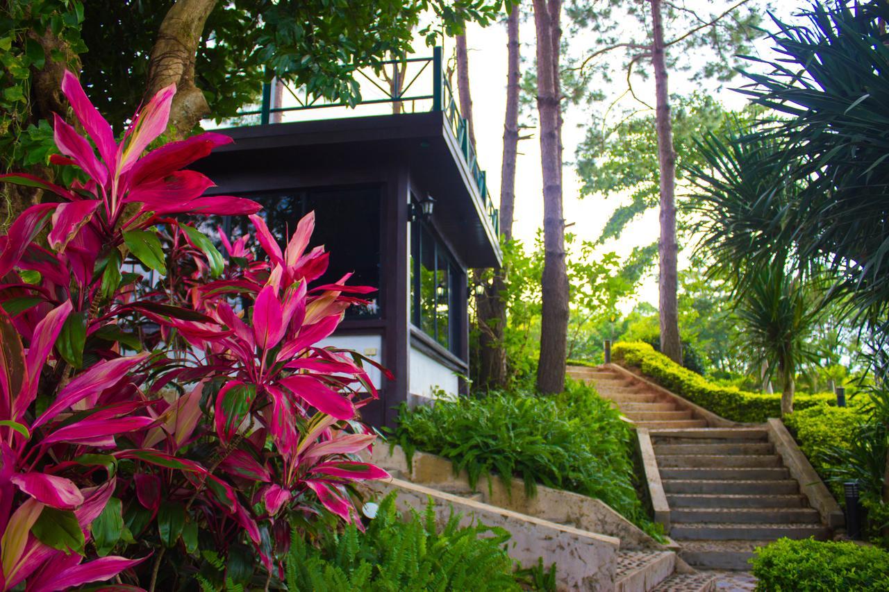 Bird Land Resort 考科 外观 照片