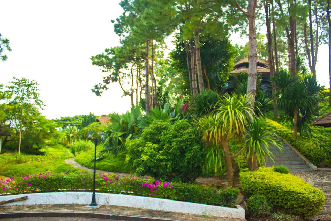 Bird Land Resort 考科 外观 照片