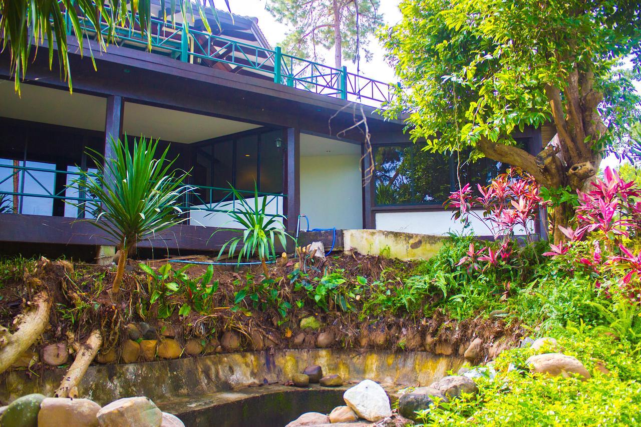 Bird Land Resort 考科 外观 照片