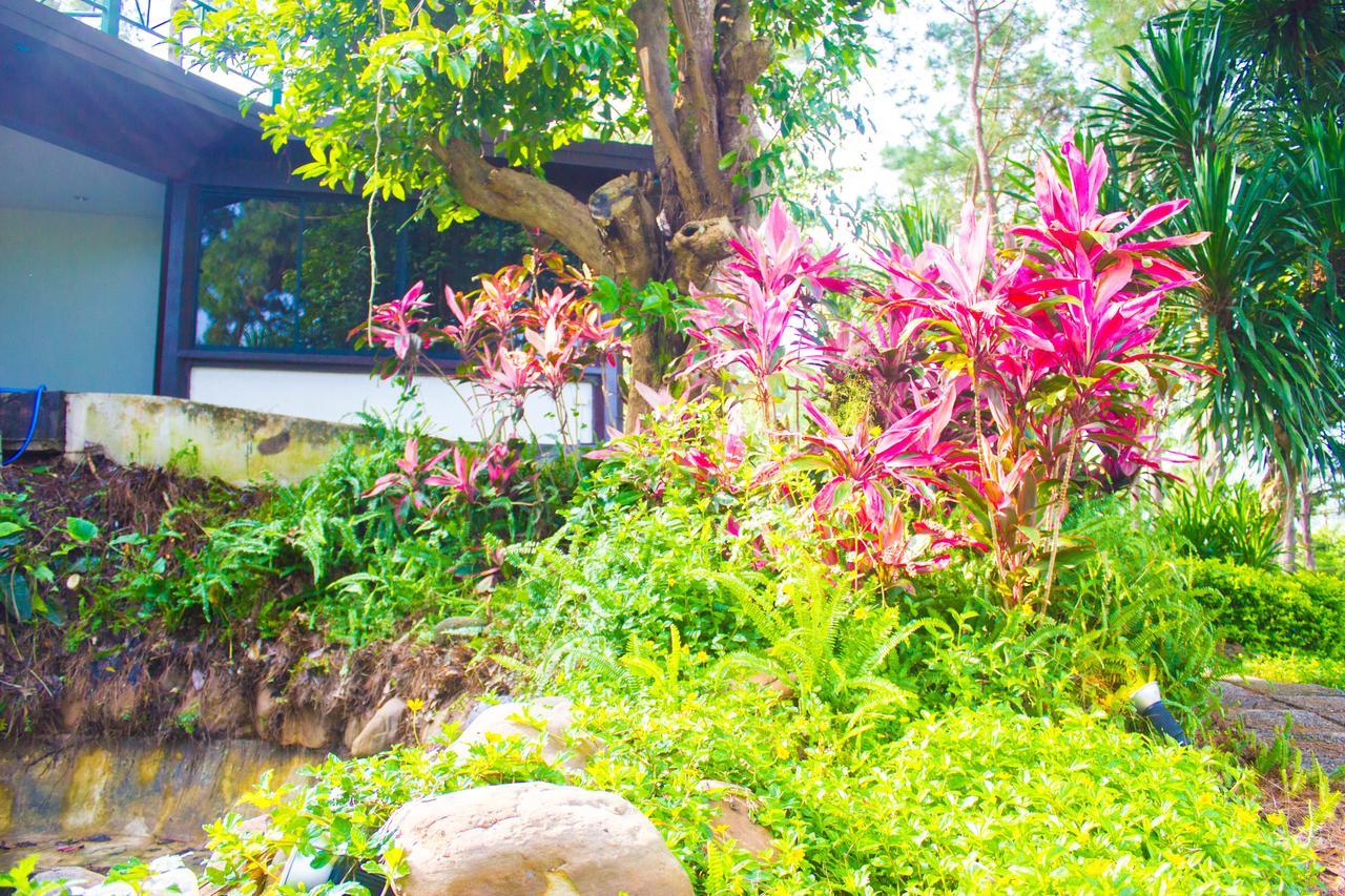 Bird Land Resort 考科 外观 照片