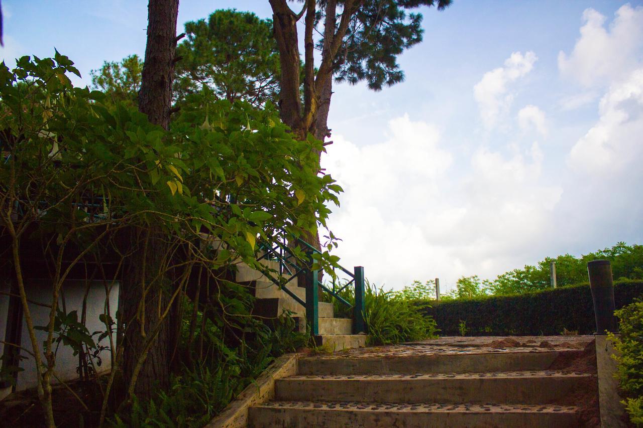 Bird Land Resort 考科 外观 照片