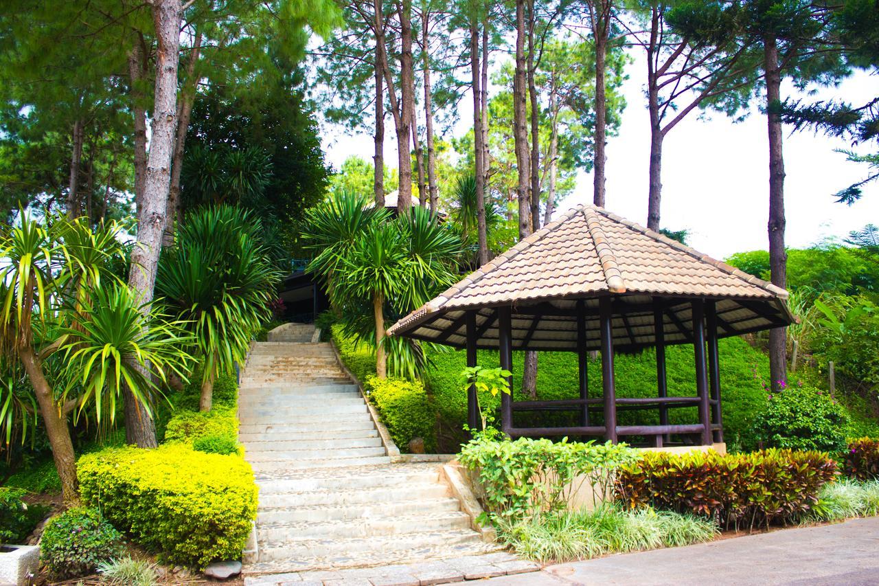 Bird Land Resort 考科 外观 照片