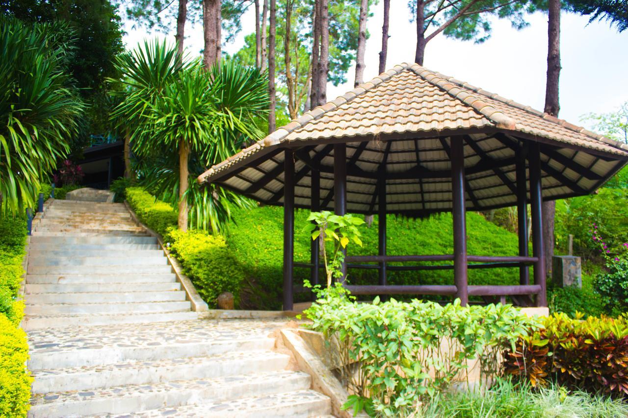 Bird Land Resort 考科 外观 照片