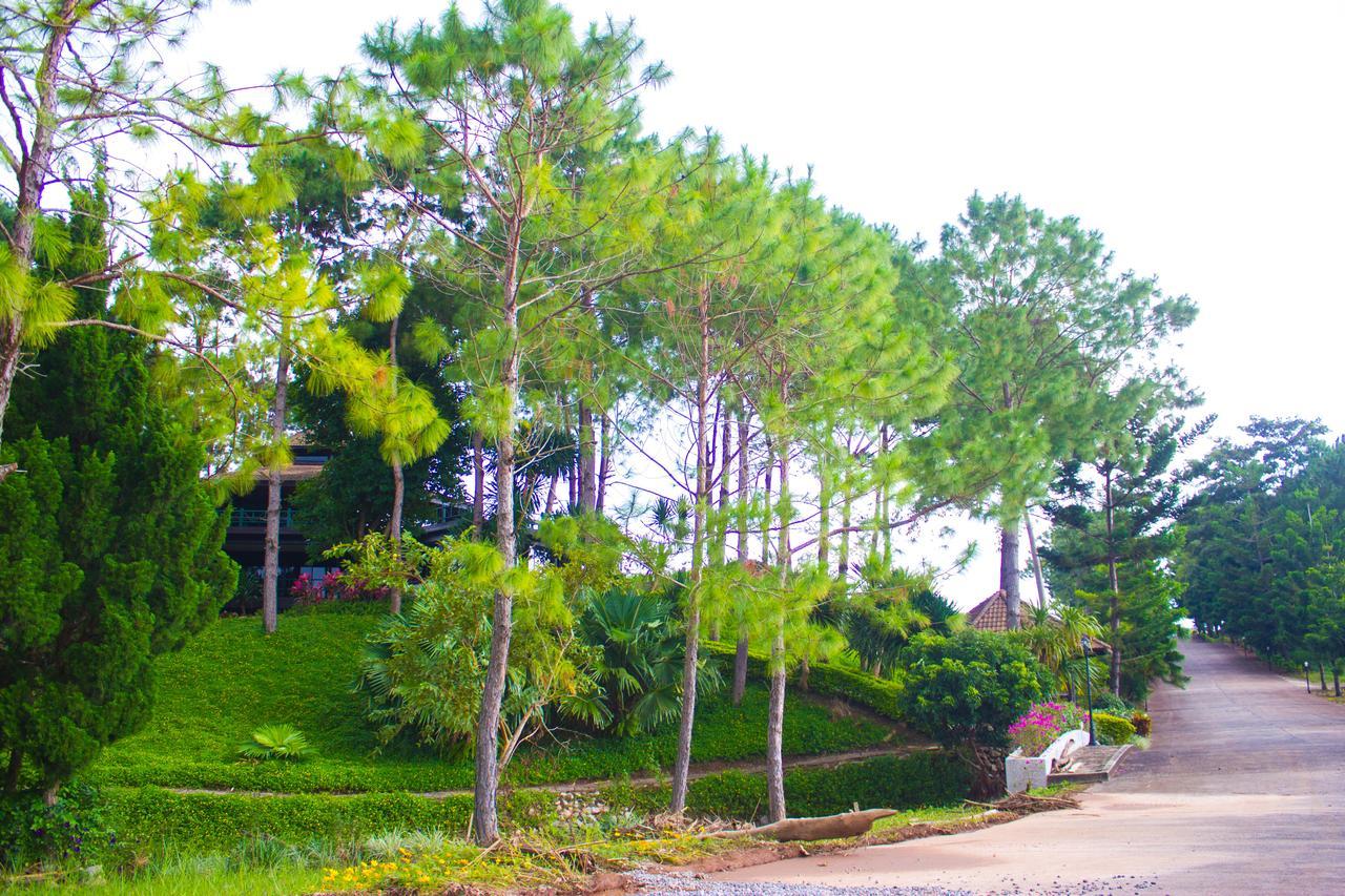 Bird Land Resort 考科 外观 照片