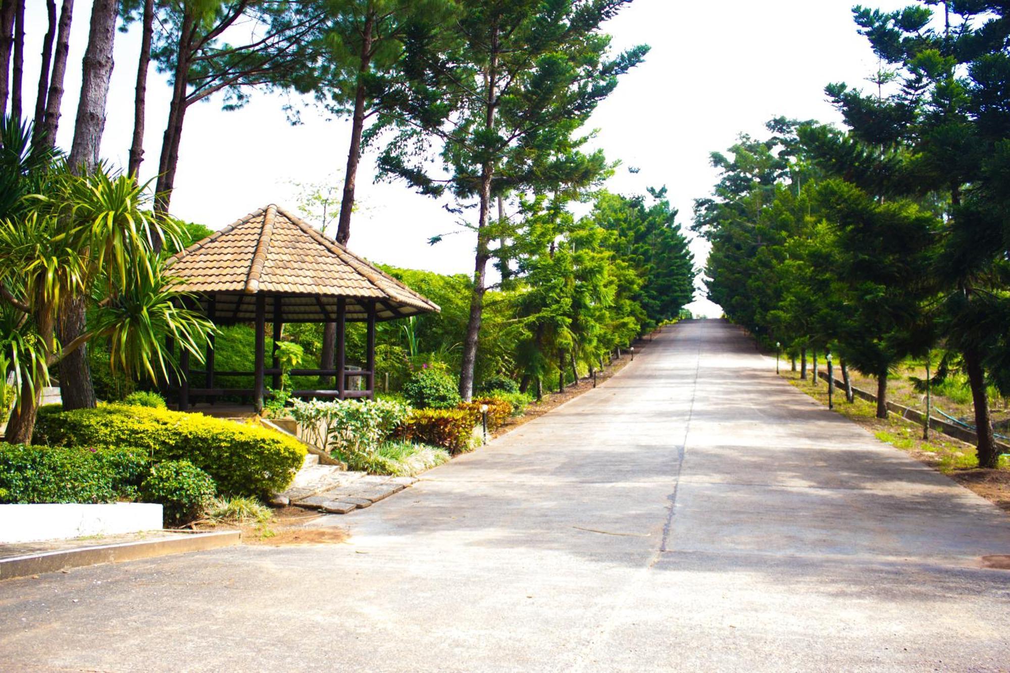Bird Land Resort 考科 外观 照片
