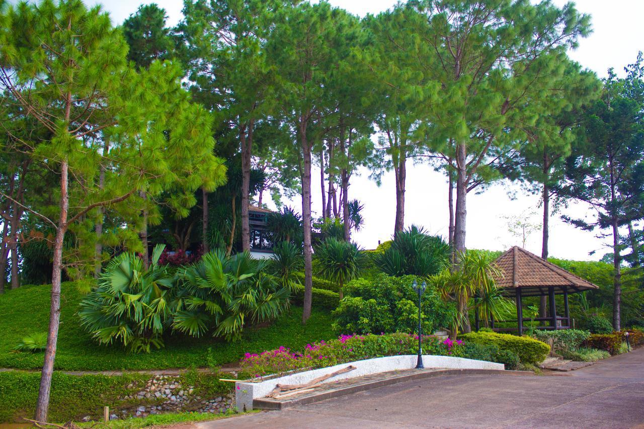 Bird Land Resort 考科 外观 照片