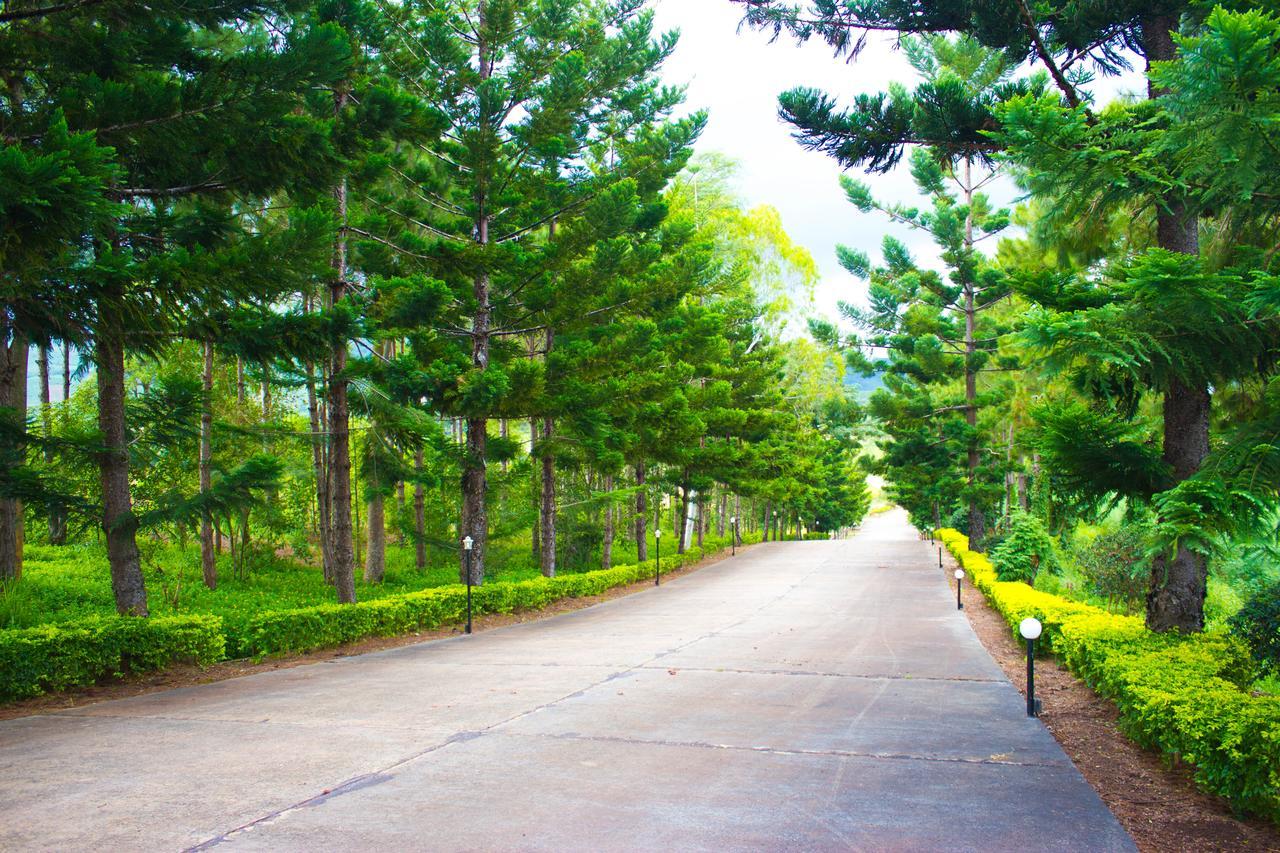 Bird Land Resort 考科 外观 照片
