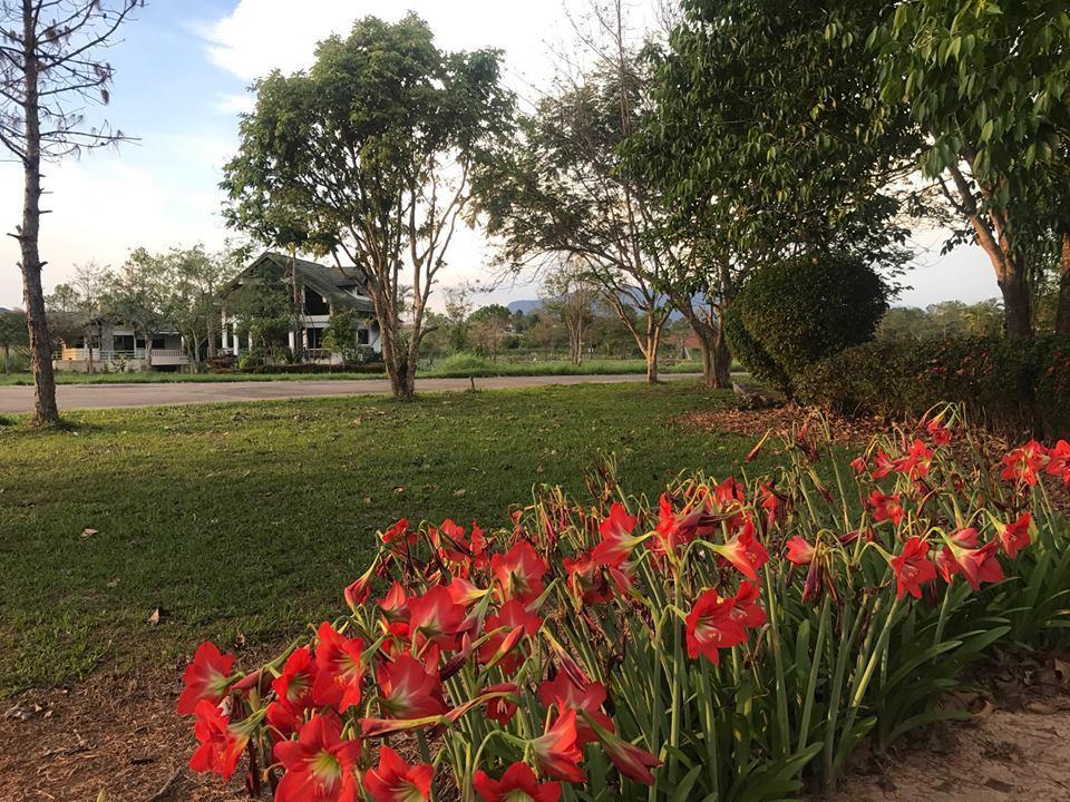 Bird Land Resort 考科 外观 照片