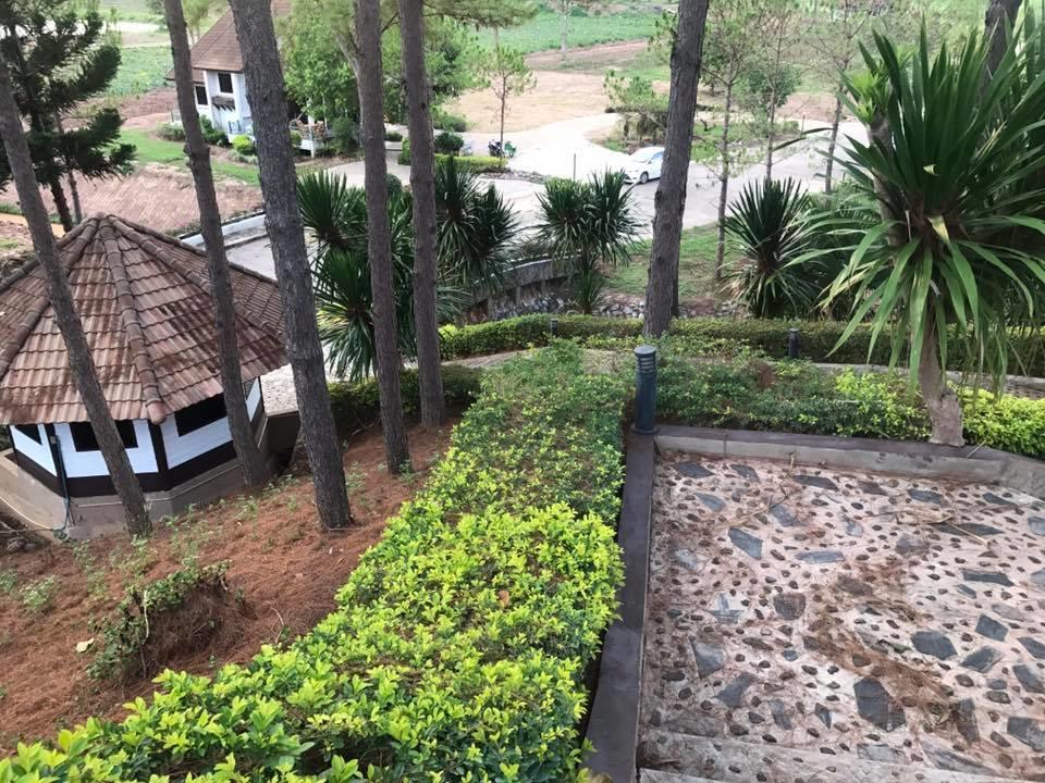 Bird Land Resort 考科 外观 照片