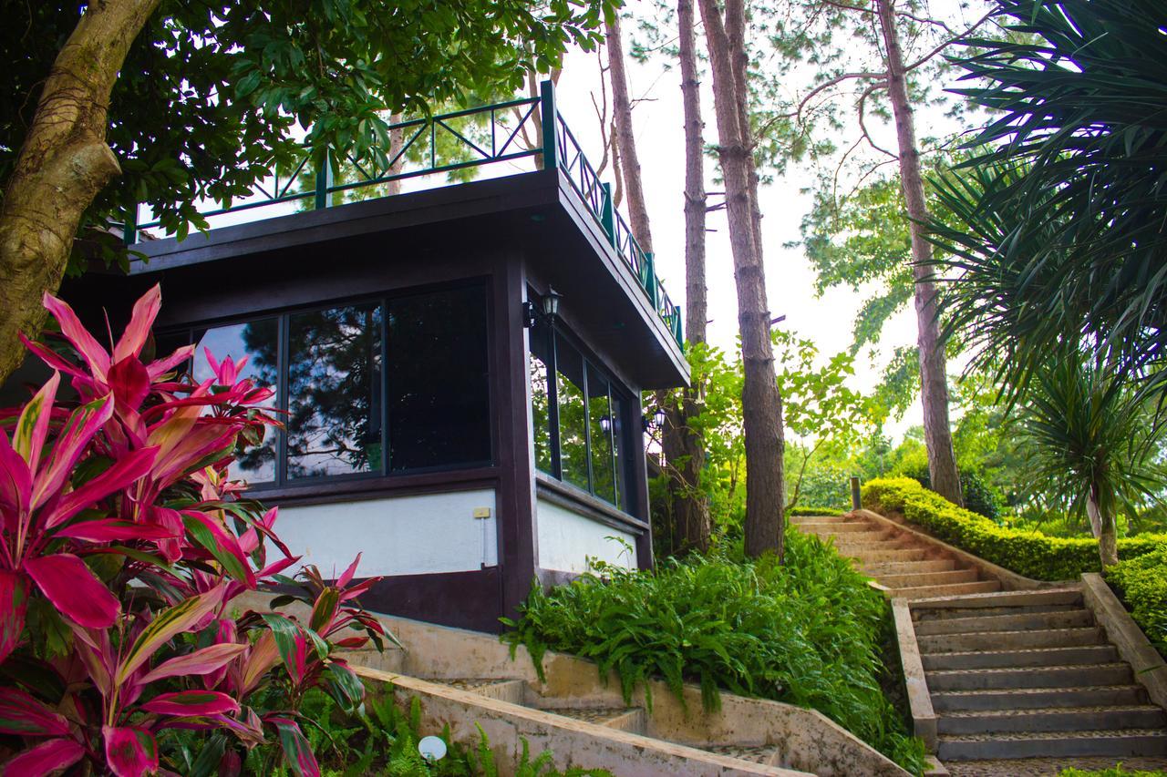 Bird Land Resort 考科 外观 照片